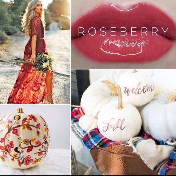 🌹Host Pick 🌹Lipsense by Sengence. Shade: Roseberry. NWT. - Picture 2 of 3